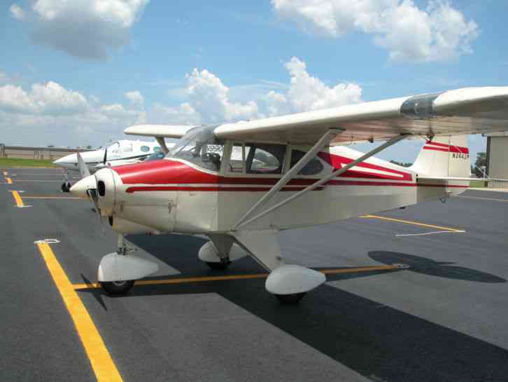 piper trypacer