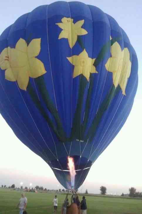 cameron balloon