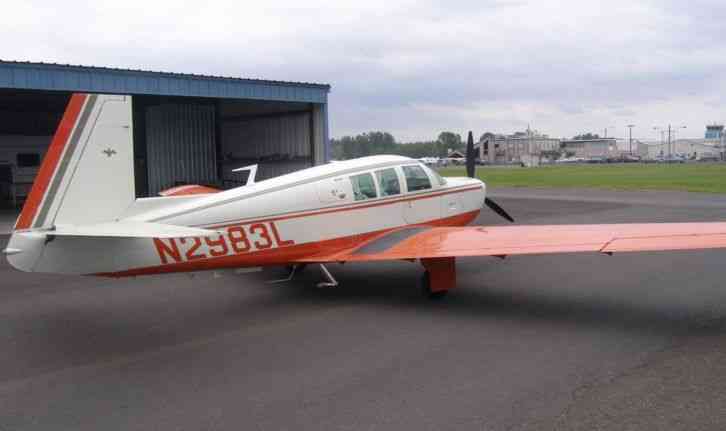  mooney ultralight